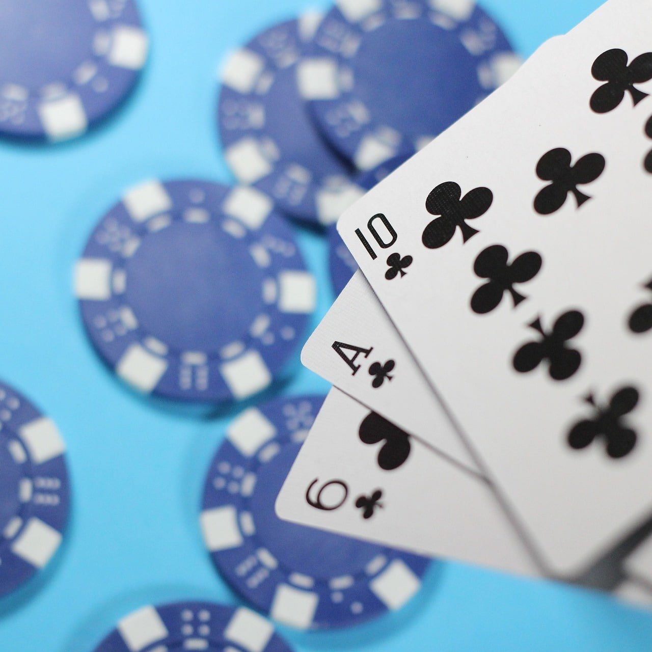 Màn hình Live Casino với dealer thật đang phát trực tiếp trên bookmaker cho người chơi Việt